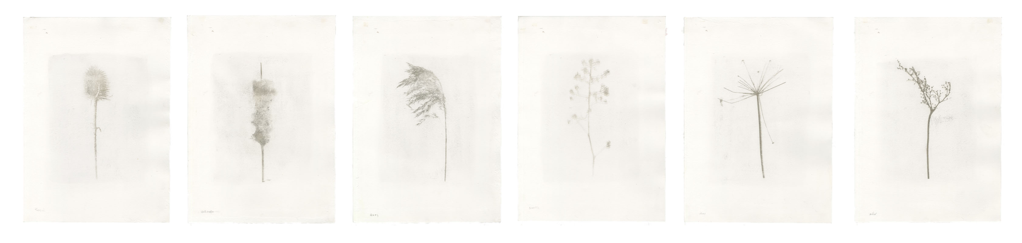 tom keating carpark verges gum bichromate